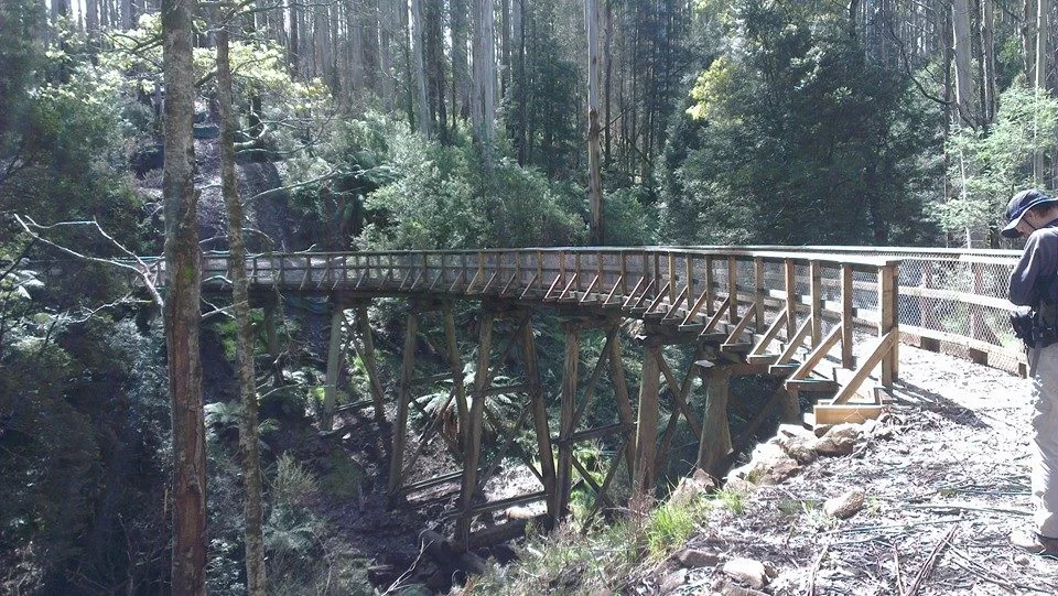 Beech Creek trestle bridge. © David Sisson 2013