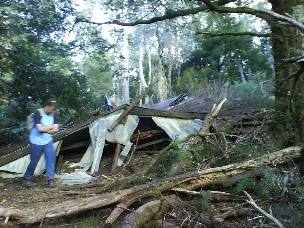 Ruined ski lodge on Donna Buang. © David Sisson 2007