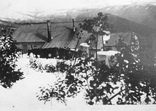 Photo Harrietville Museum.
