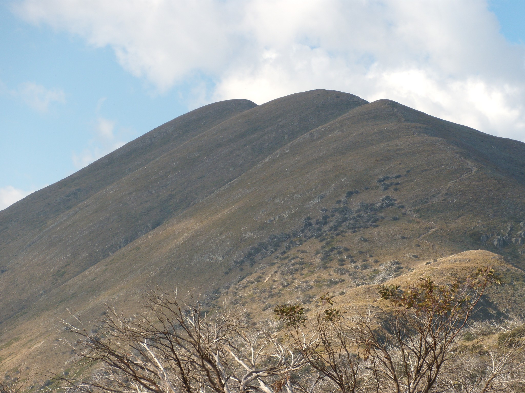 The summit ridge in summer viewed from the Razorback. Photo: © Blair Hamilton. Used with permission.
