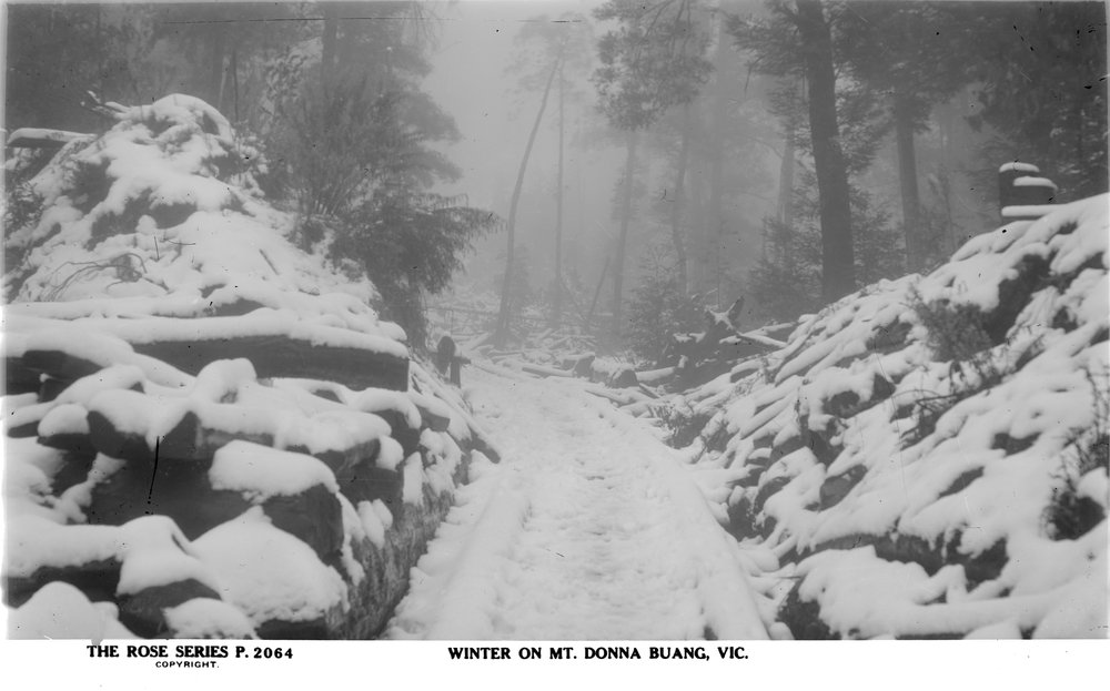 Beyond the 10 Mile 'Turntable' the road was even narrower. In winter it was closed and used as a ski touring route.