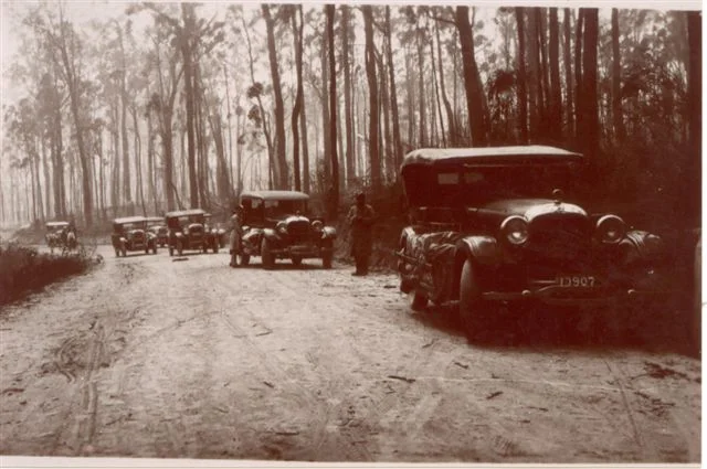 A Pioneer Tours trip to Mt. Donna Buang. Photo supplied by Vivienne Worthington.