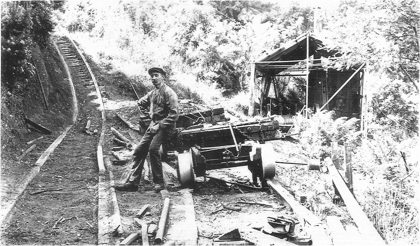The Knob engine house and the haulage leading up to The Pimple. Three seperate inclines lowered timber from Mt Victoria down to Warburton and hauled the bogies back up. Rose postcard.