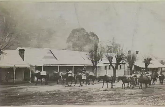 A packhorse train leaving Wraith's Store, Harrietville in the early 20th century.