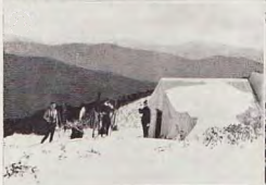 Razorback Hut. Photo Roy Weston, circa 1931.