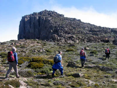 Hiking Field West.jpg