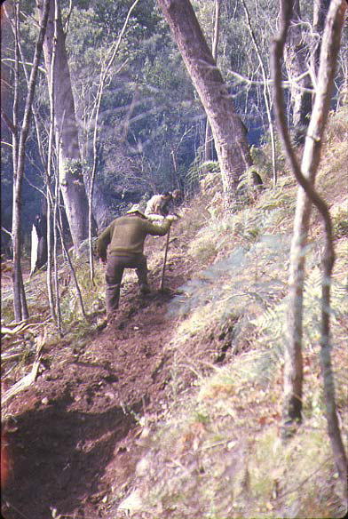 Dave Allen refining the track. Dave Allen, John Retchford and myself did a recce trip on a Queen’s Birthday weekend to survey the location of the hut. On this trip we approached along the northern razorback.