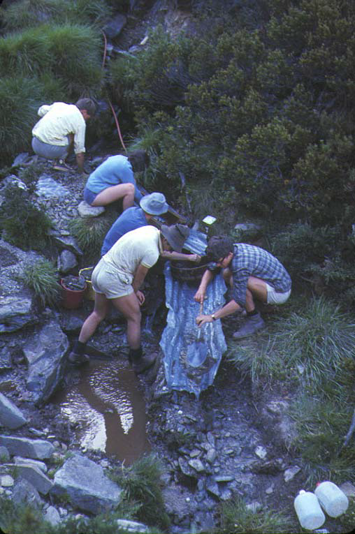 Gathering aggregate for concreting the posts. This proved to be very time consuming so after a few weekends we resorted to carrying bags of sand up. We still used the larger pebbles for aggregate in the concrete.