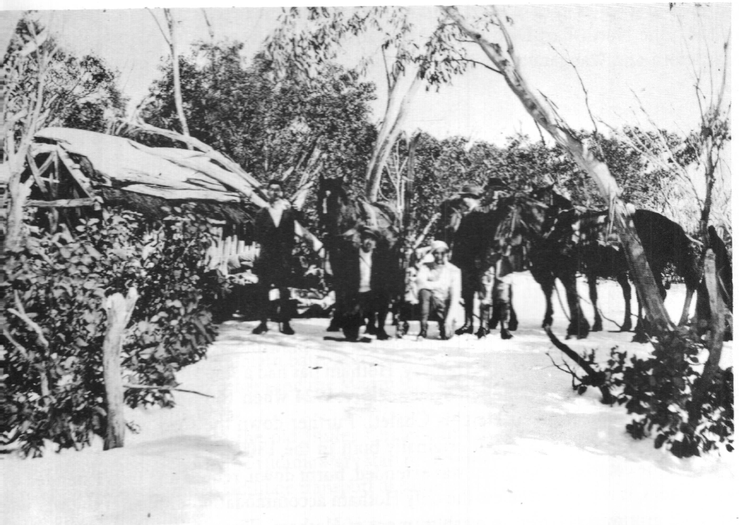 Lovick's cattlemens hut on Burnt Hut Spur. c.1919 - c.1925.