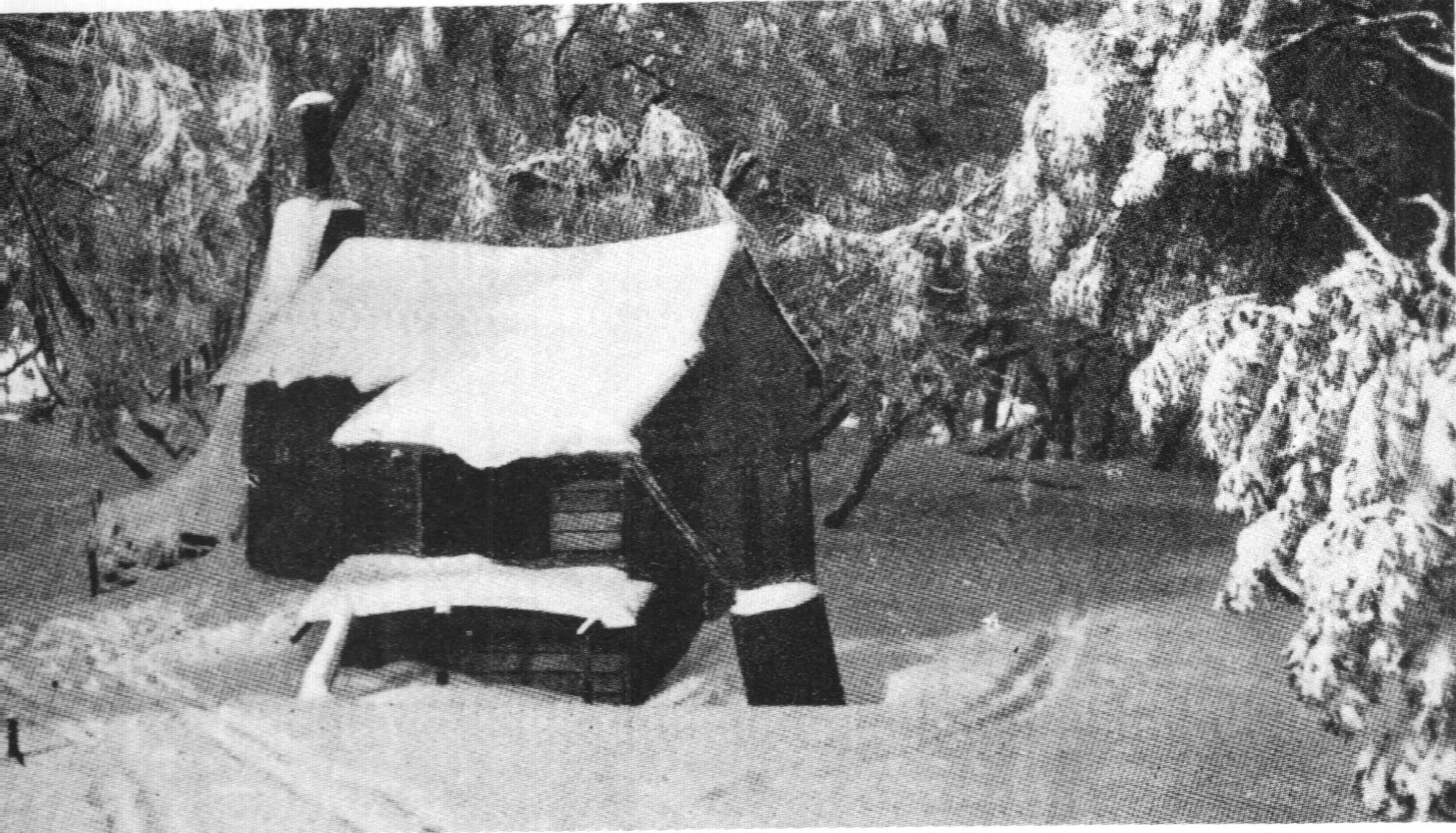 Cow Camp Hut stood on the site of the Kooroora Hotel from 1930 to 1951. J.S . Wilkinson