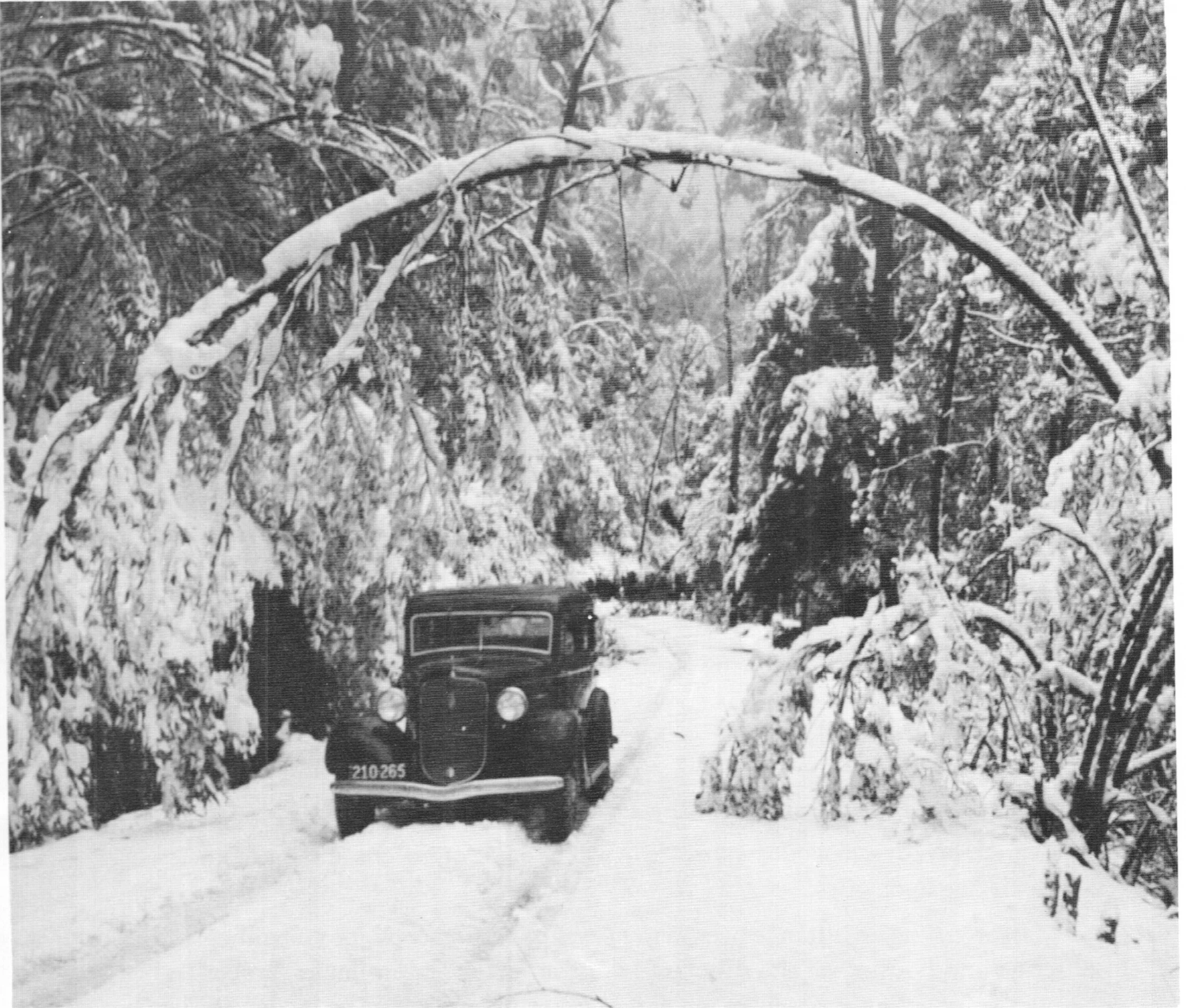 A 1930s Plymouth car on the road to Donna. Photo USC.