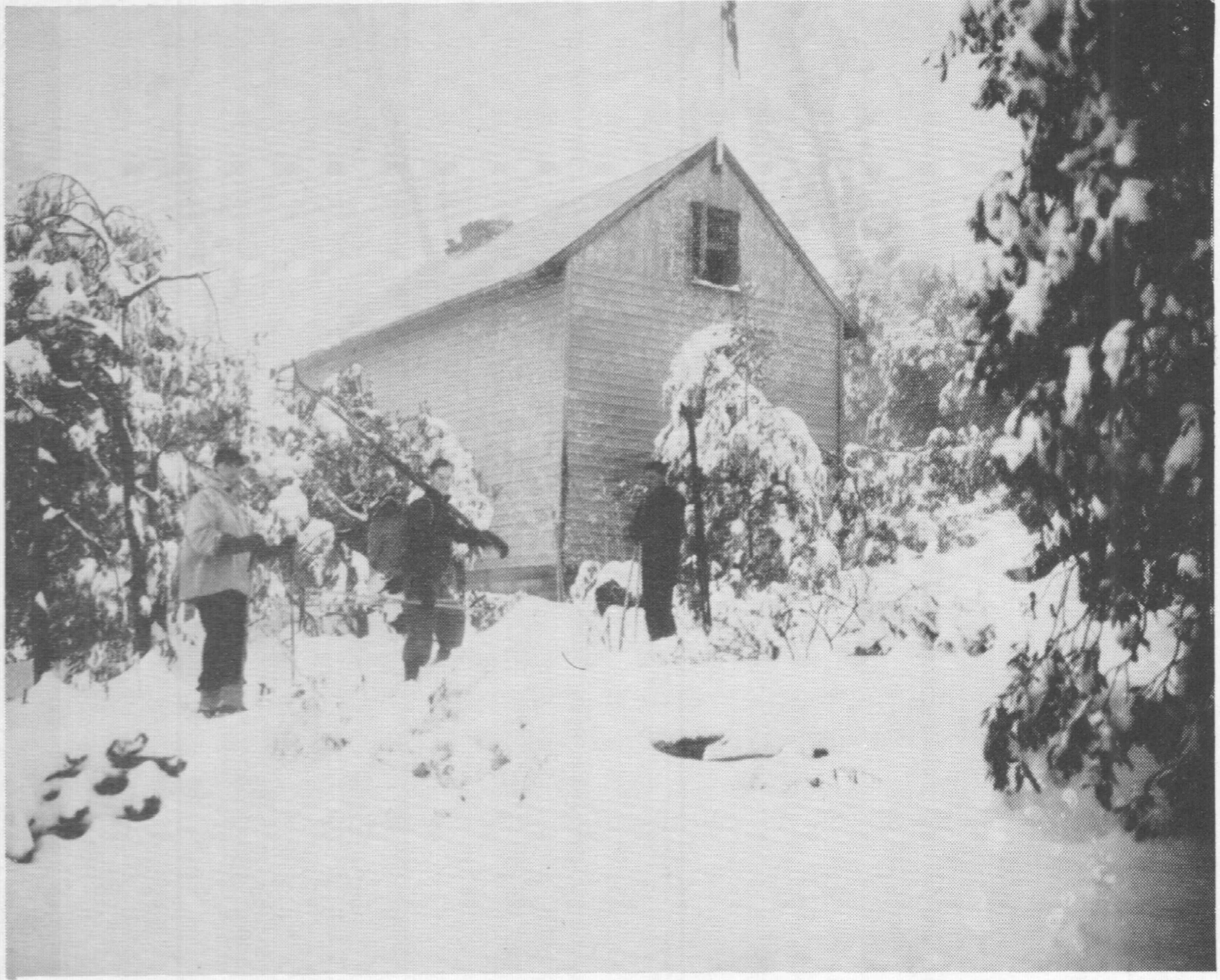 The SCV Cabin on Mt Donna Buang from the walking track which still passes the ruin today