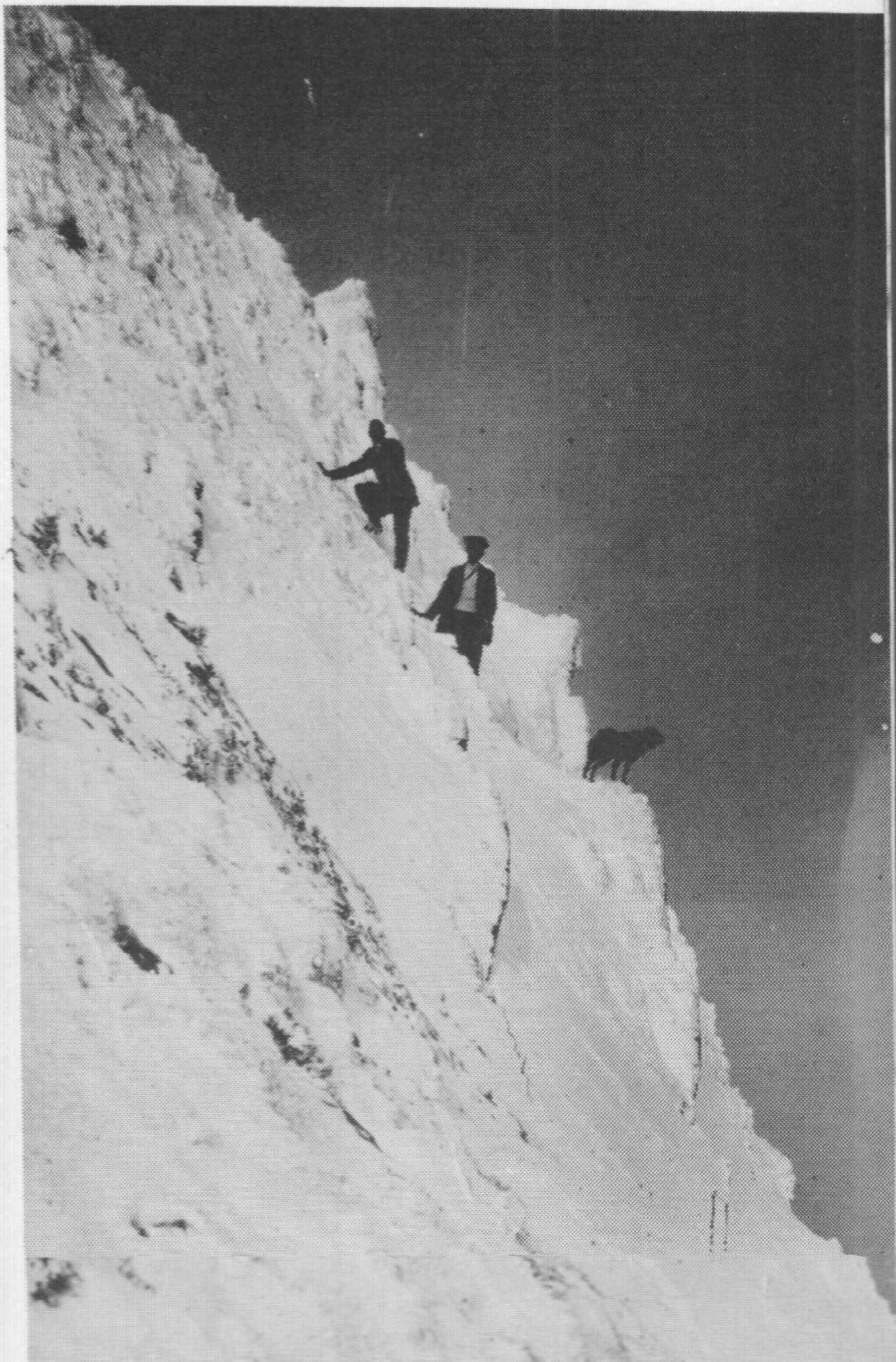 Climbers and dog. Mt Feathertop 25/8/1911. Photo prob by either R. M. Bowie or Jim Tobias