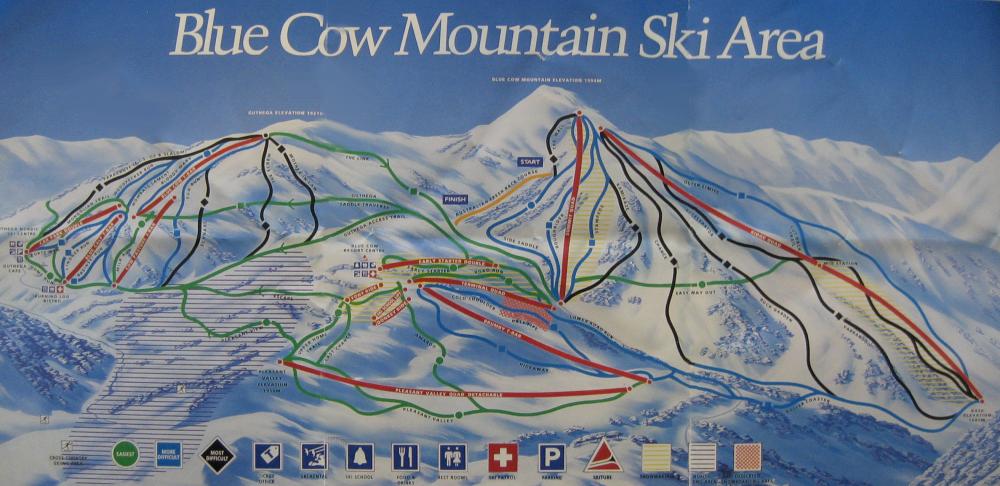 1994 . Blue Cow and Guthega. Medium resolution.