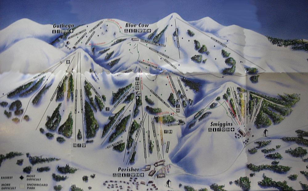 1995