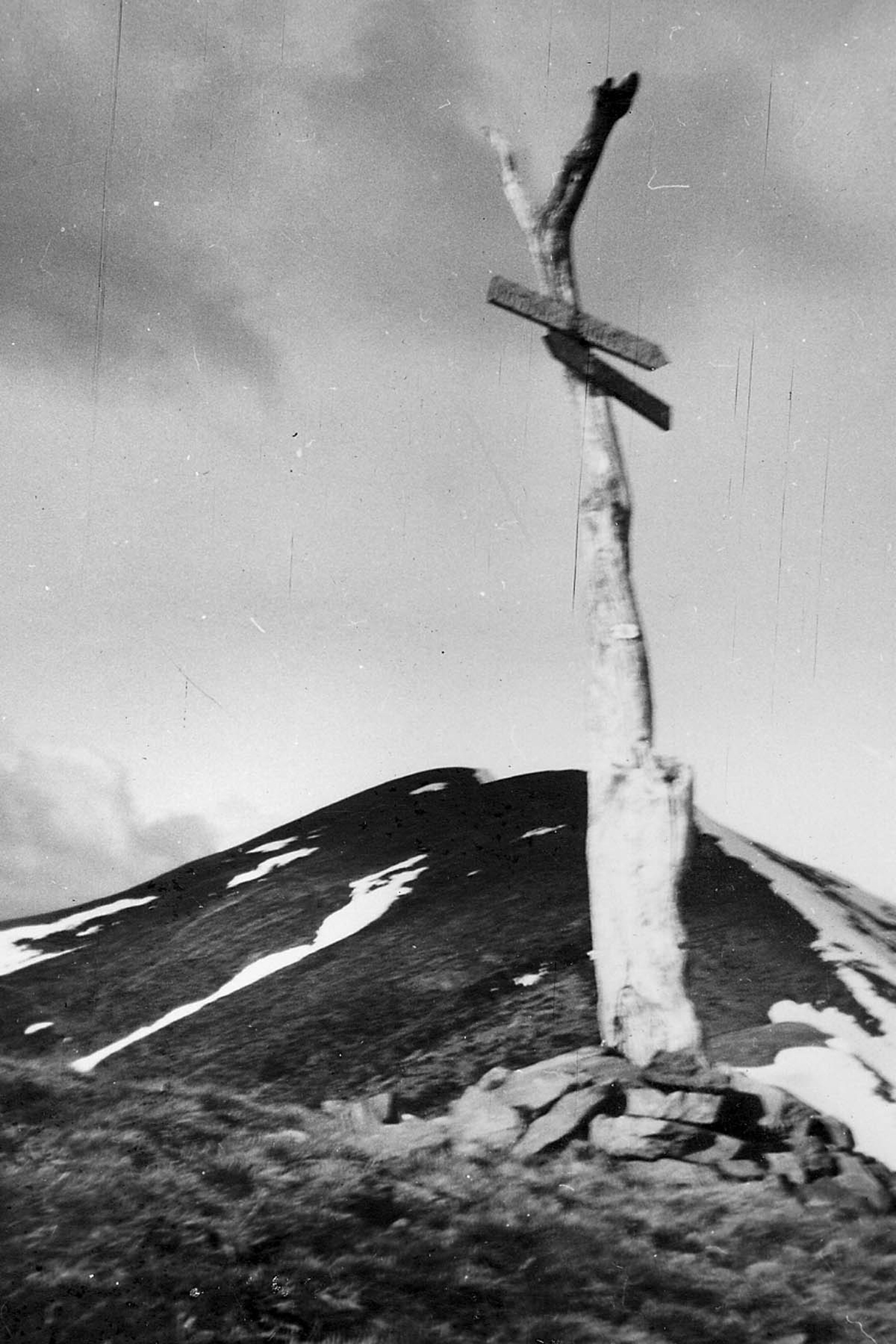 Signpost to Hotham – approach to Feathertop summit. located where the Razorback meets Bungalow Spur. Photo W. H. Jemison, October 1950. © High Country Online . Used with permission.
