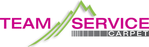 logo-Teamservice.png