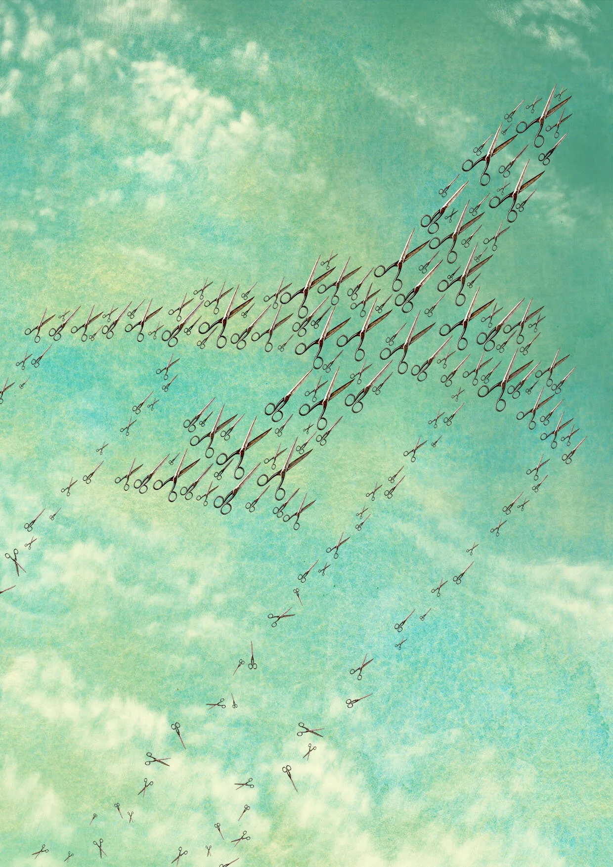 FlightPath_Fnl_Flttn.jpg