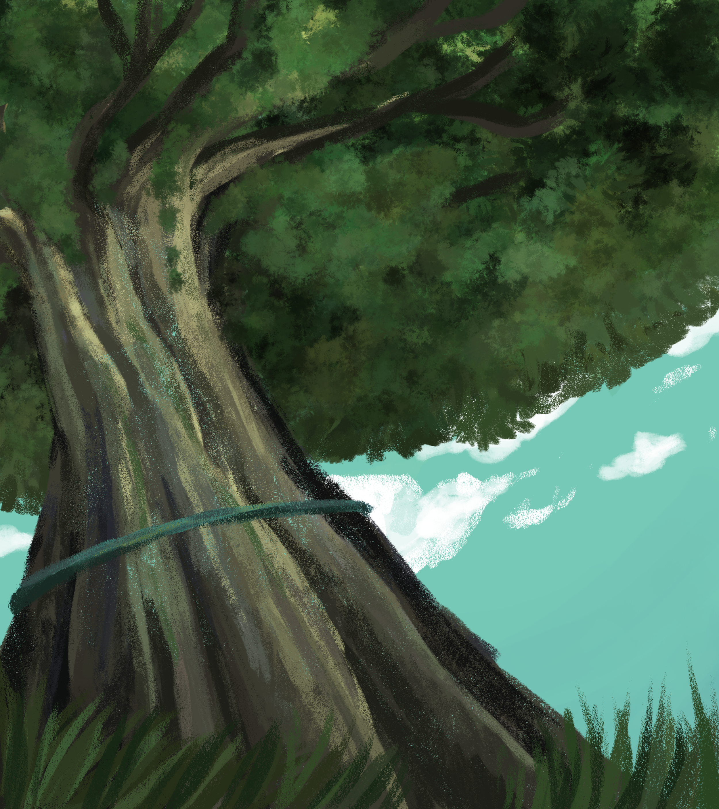 tall_tree copy.PNG