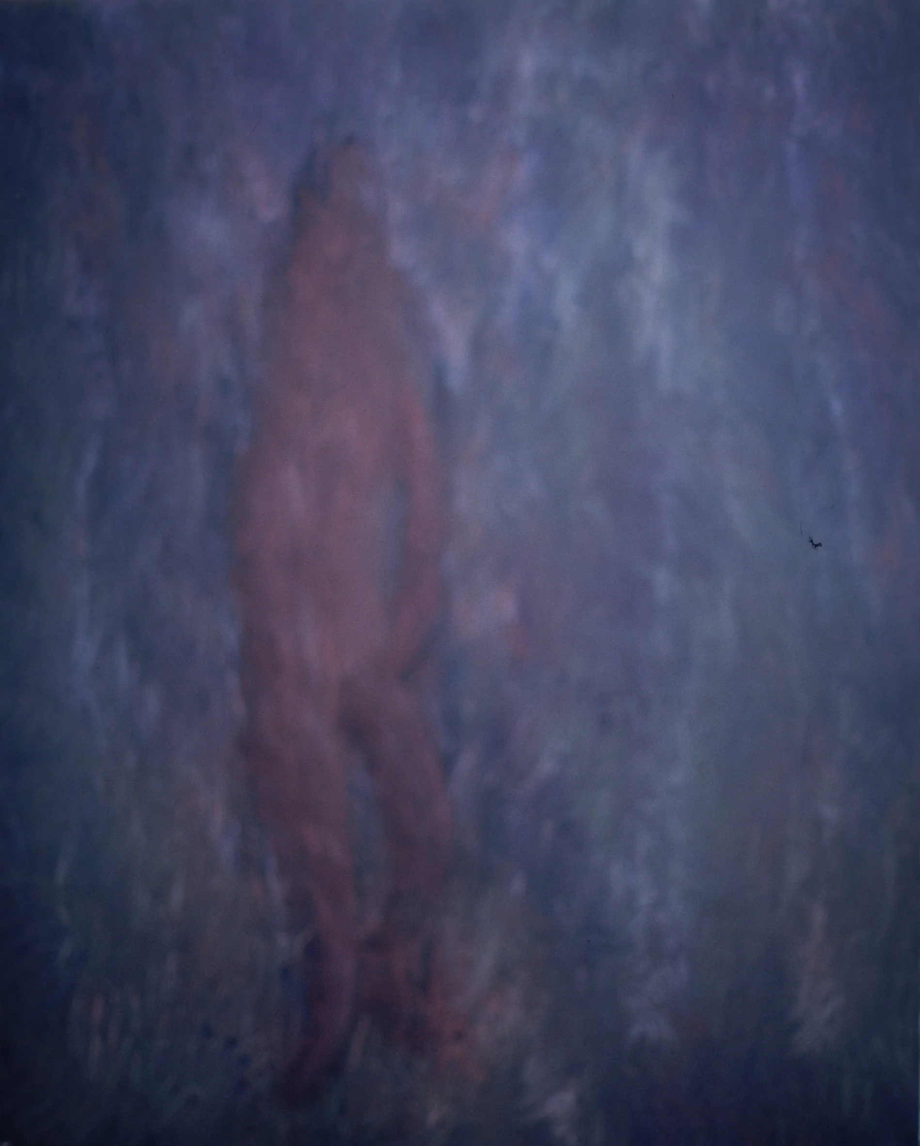 0020.jpg