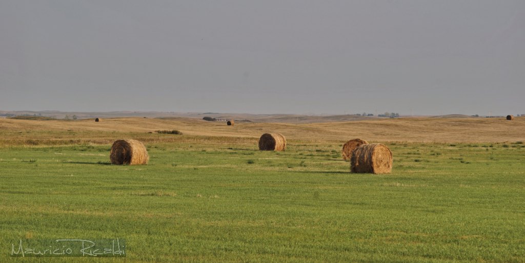 en las planicies de Alberta
