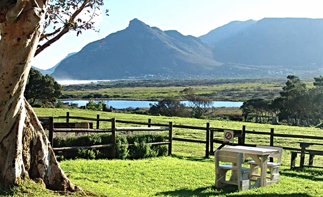 Blue Water Cafe - Garden View 