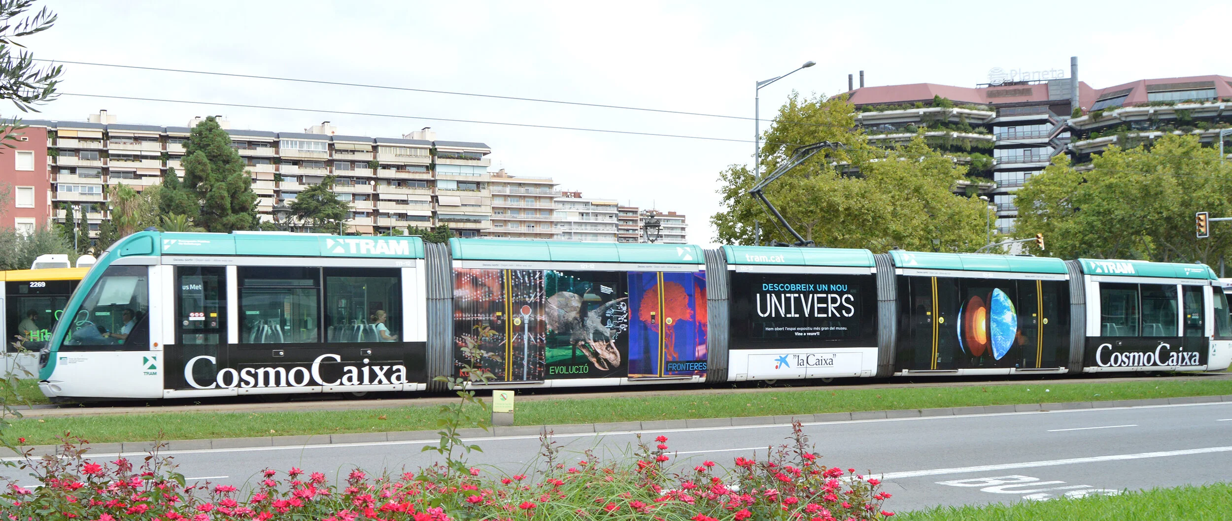 COSMOCAIXA'19.jpg