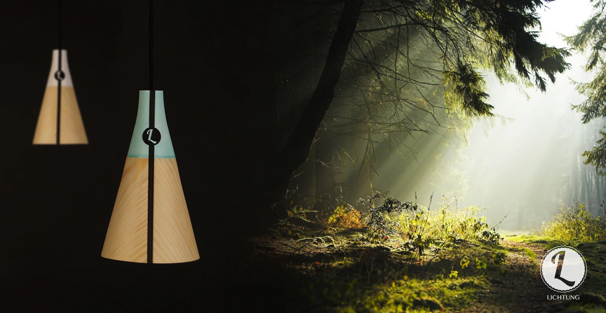 Lichtung Banner_3.jpg