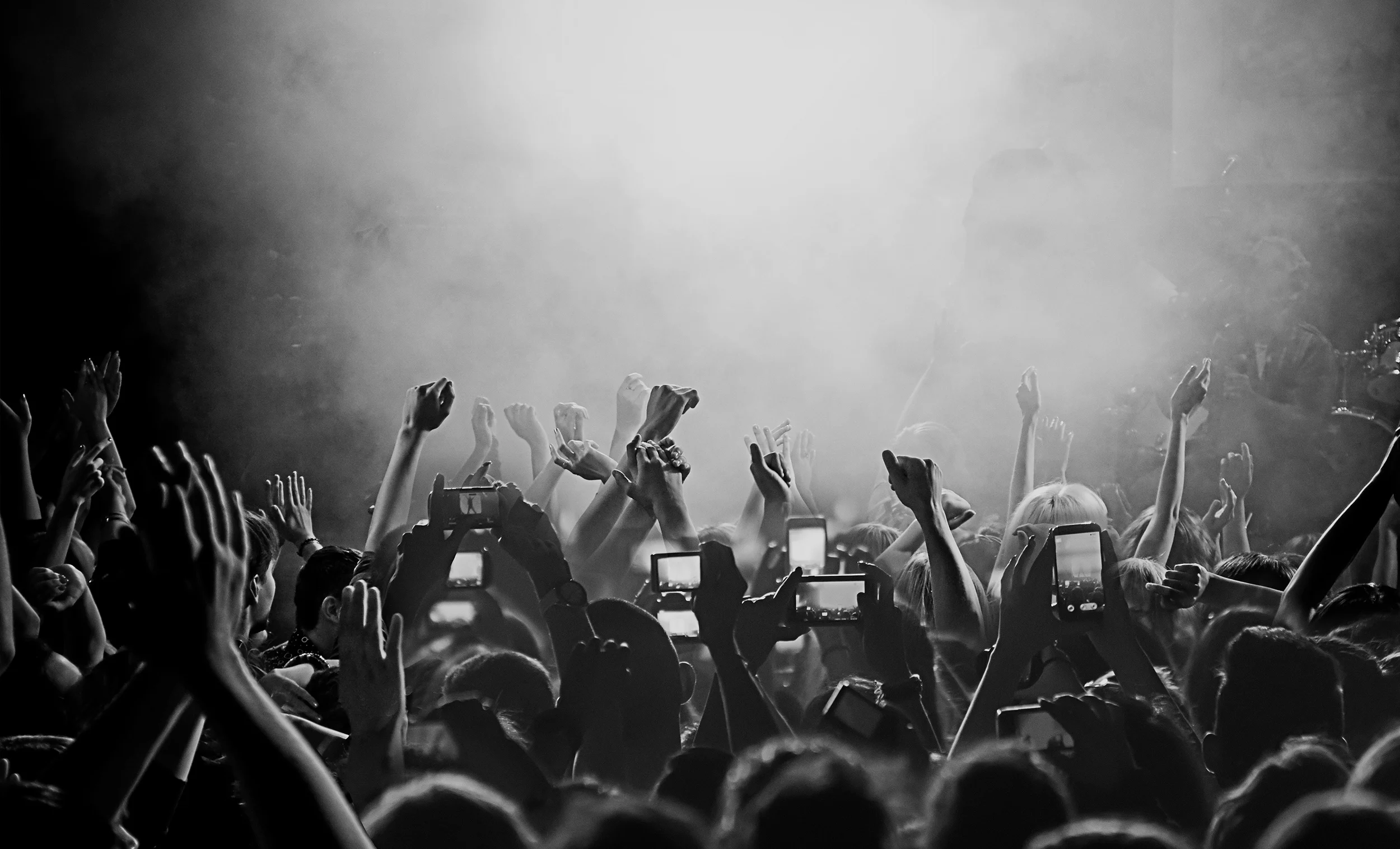 Crowd_1_Stor cropped high2.jpg