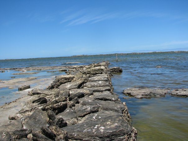 camp coorong.jpg