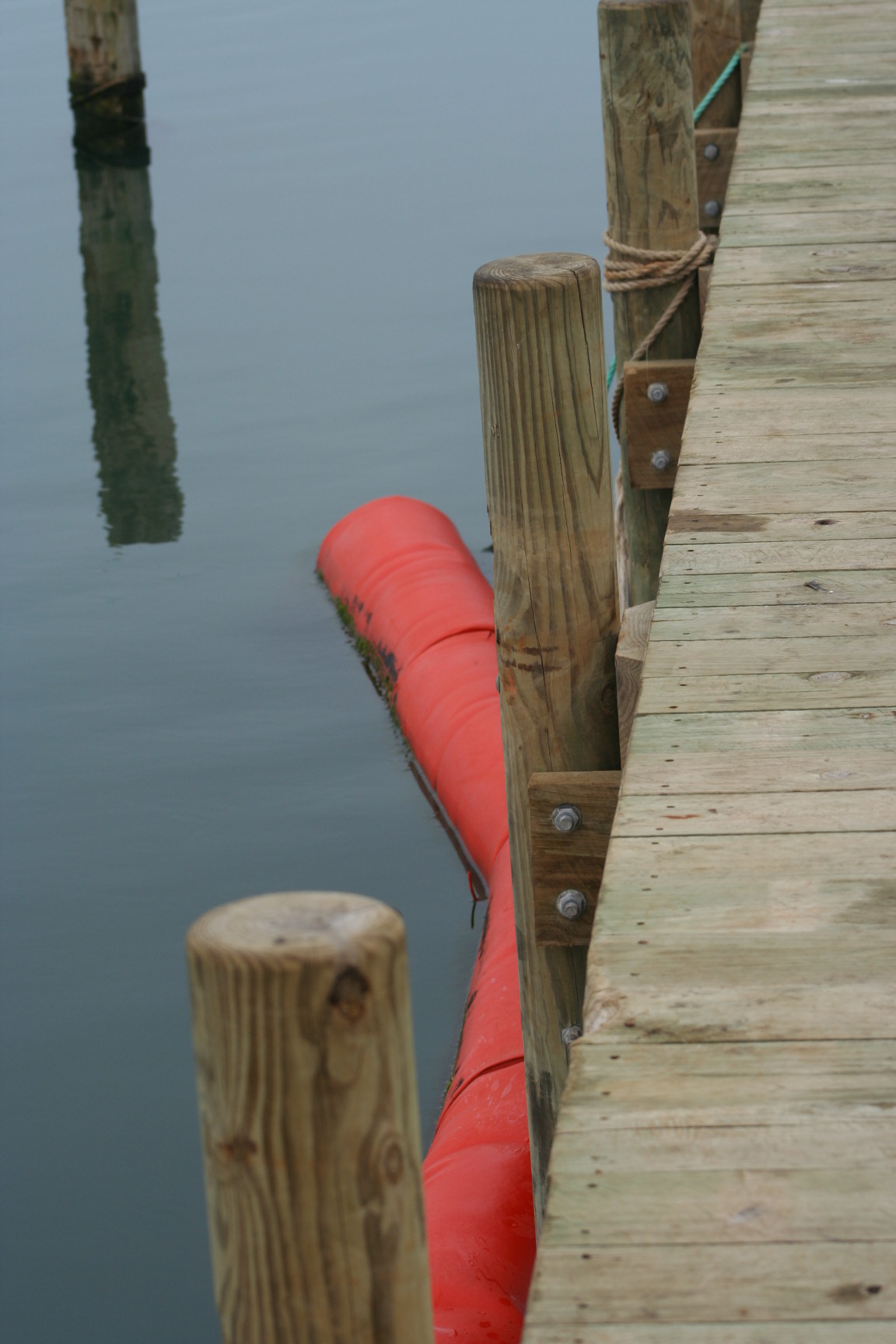 Photo field trip 066.jpg