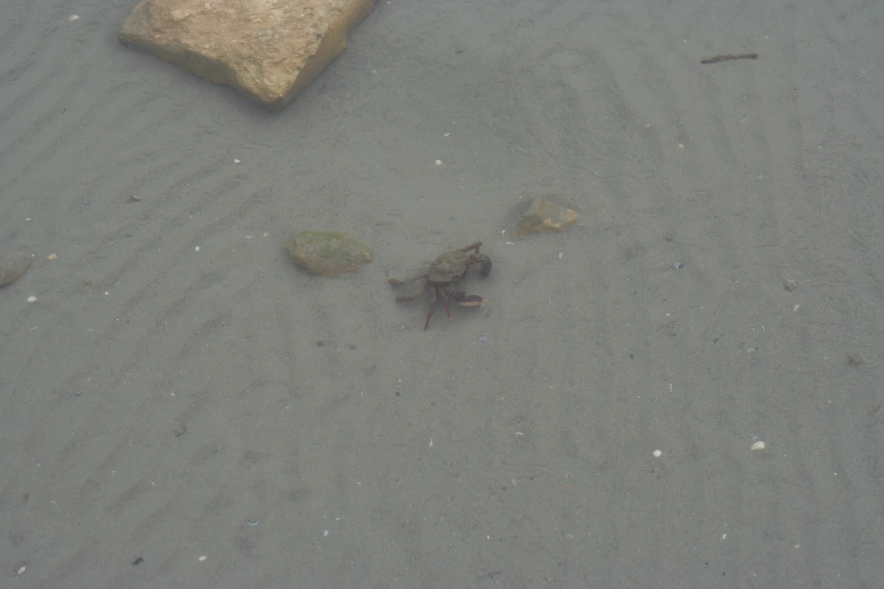 Photo field trip 068.jpg