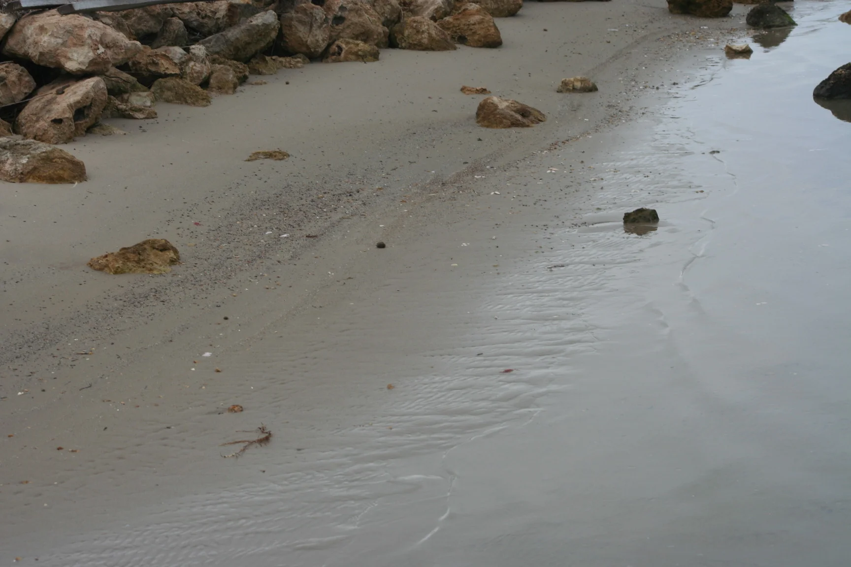 Photo field trip 069.jpg