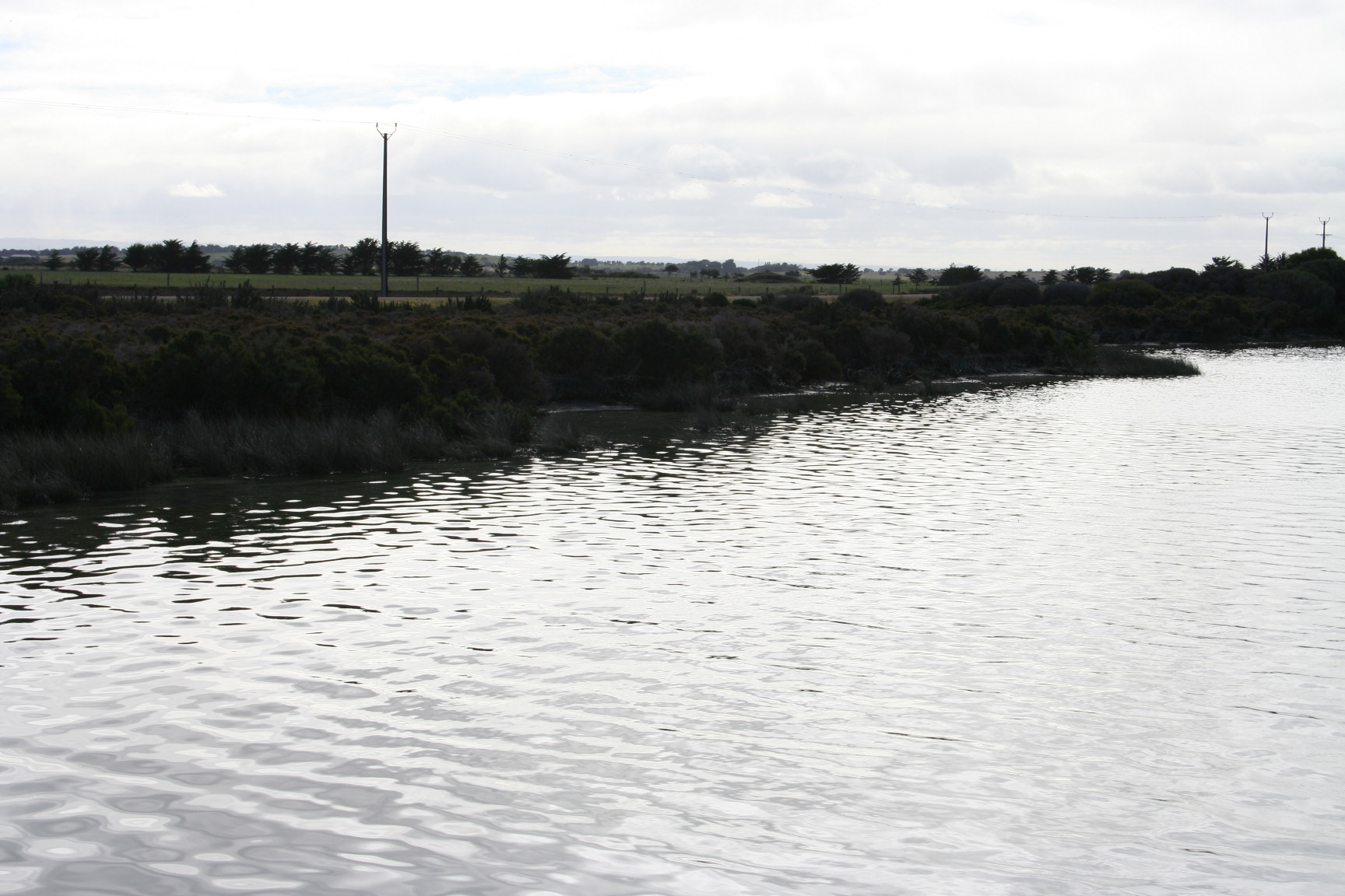 Photo field trip 077.jpg