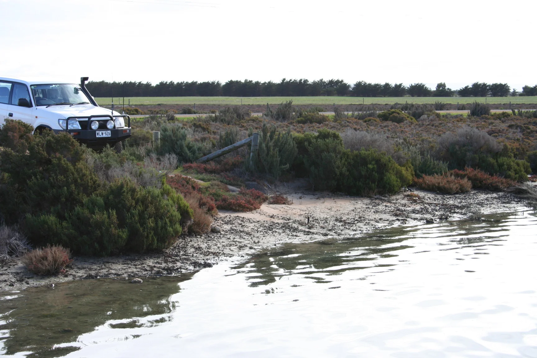 Photo field trip 078.jpg