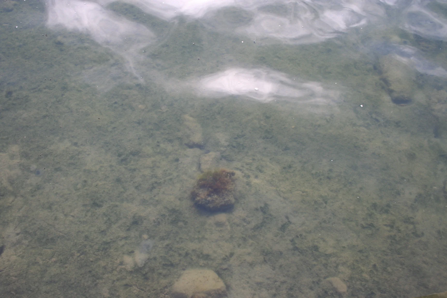 Photo field trip 085.jpg