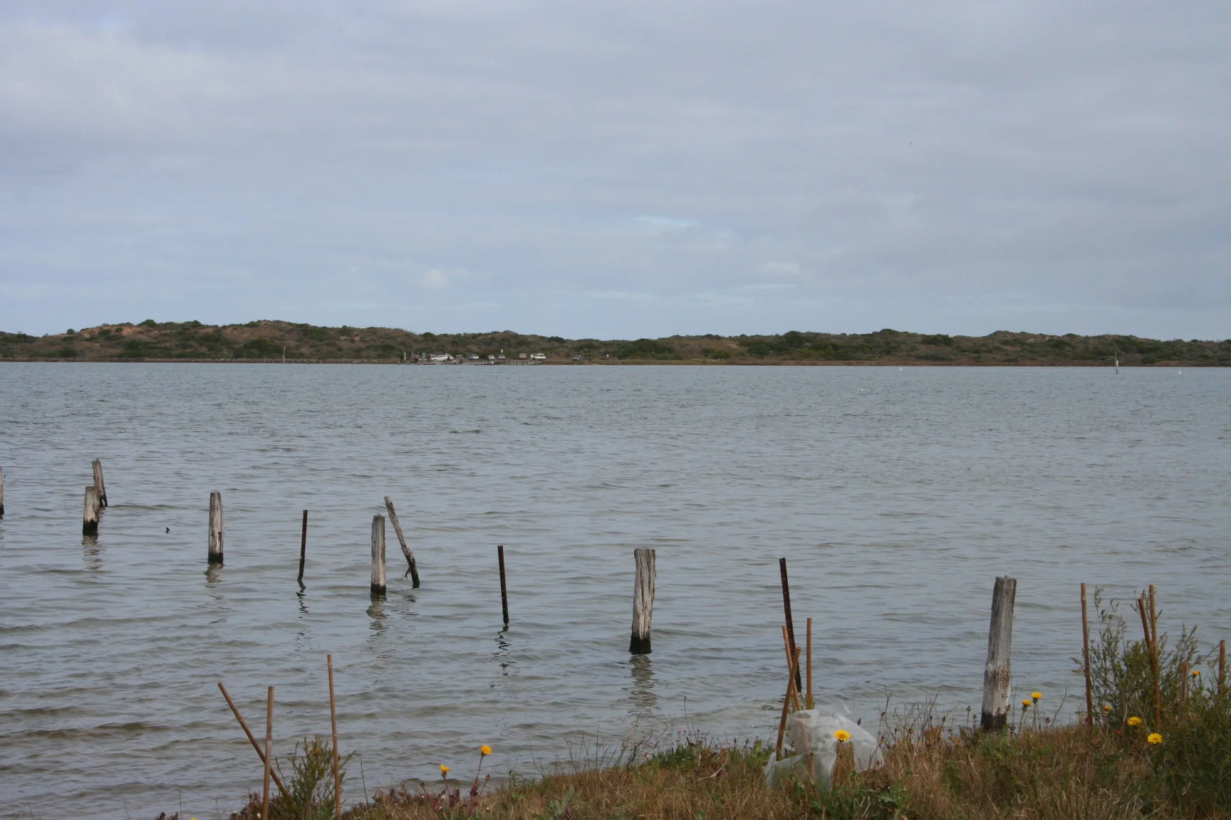 Photo field trip 100.jpg