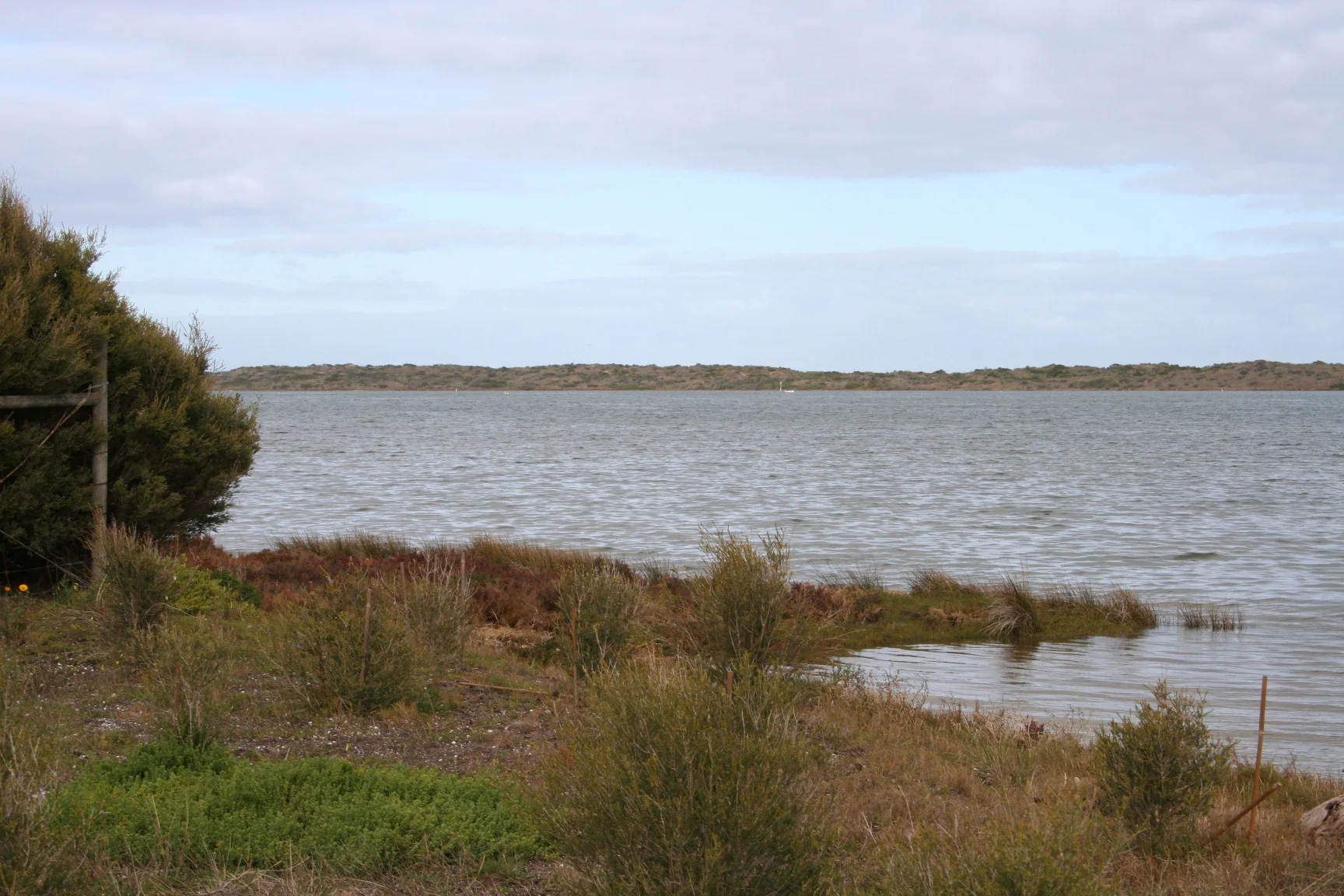 Photo field trip 103.jpg