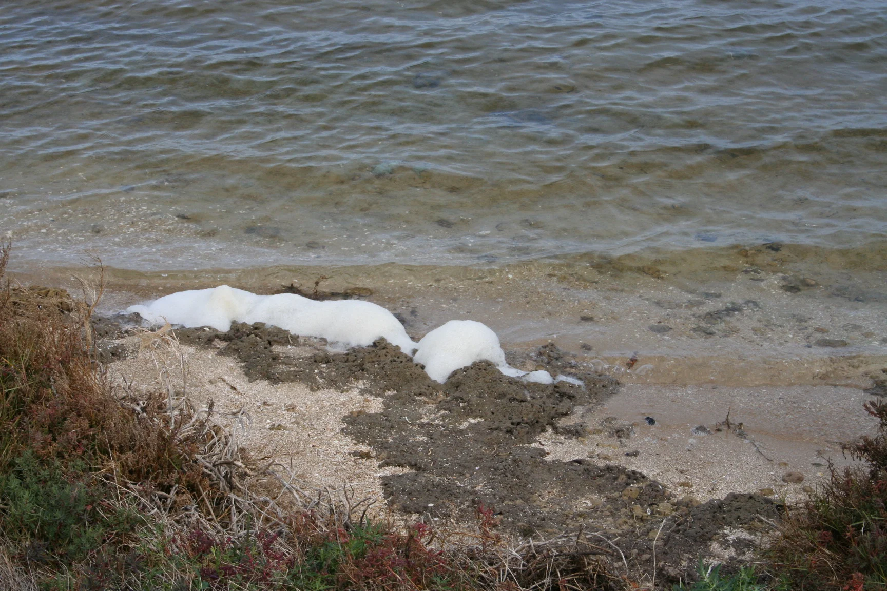 Photo field trip 104.jpg