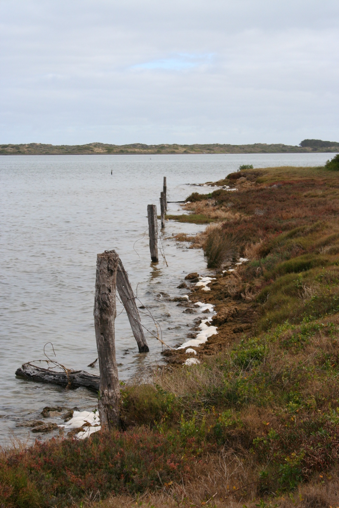 Photo field trip 106.jpg