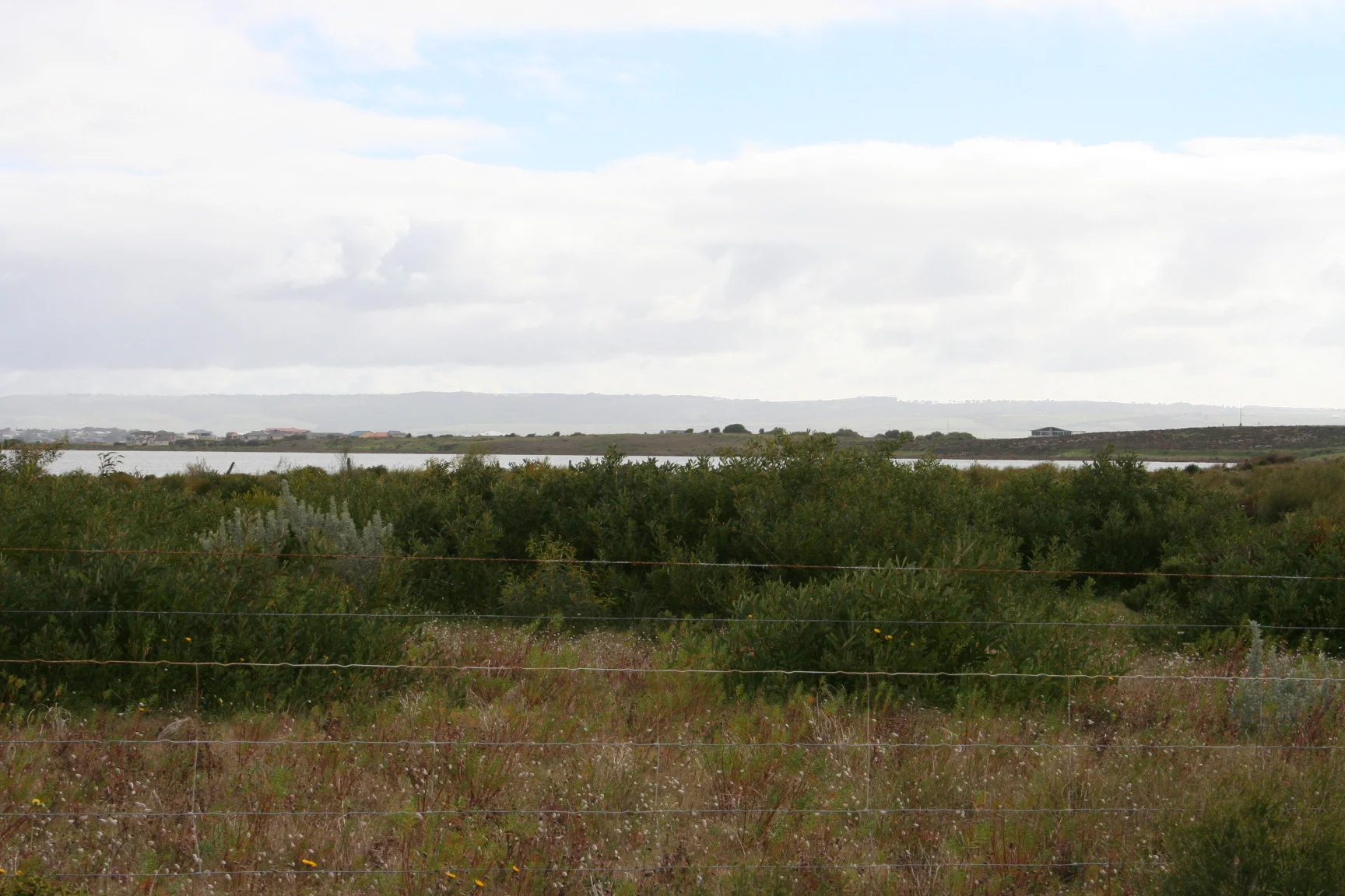 Photo field trip 107.jpg