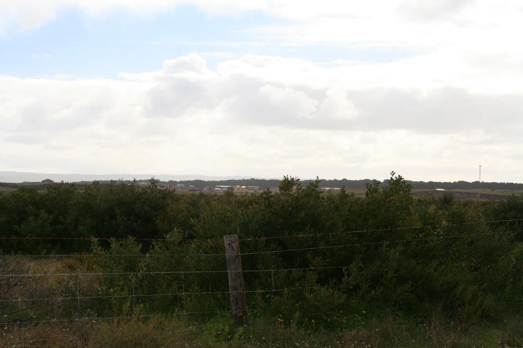 Photo field trip 112.jpg