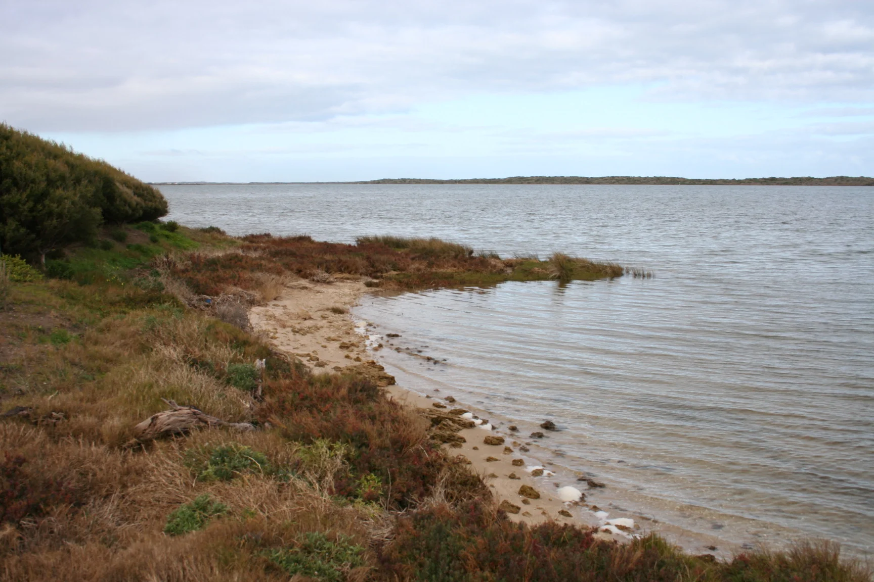 Photo field trip 125.jpg