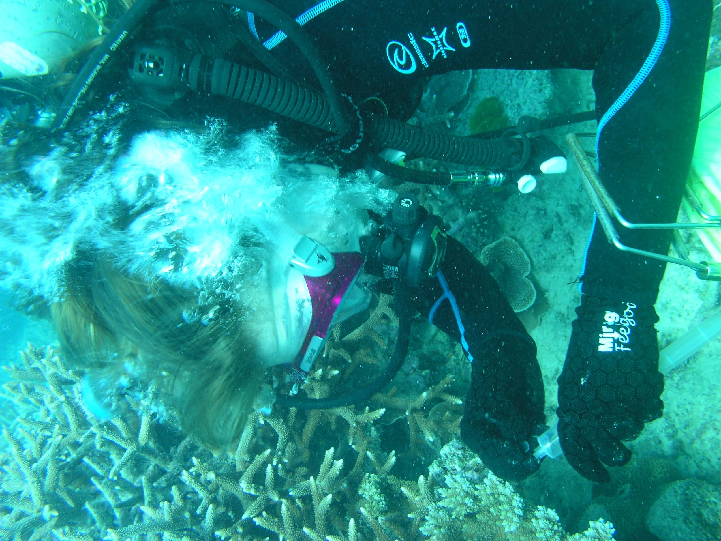 P1010034.JPG
