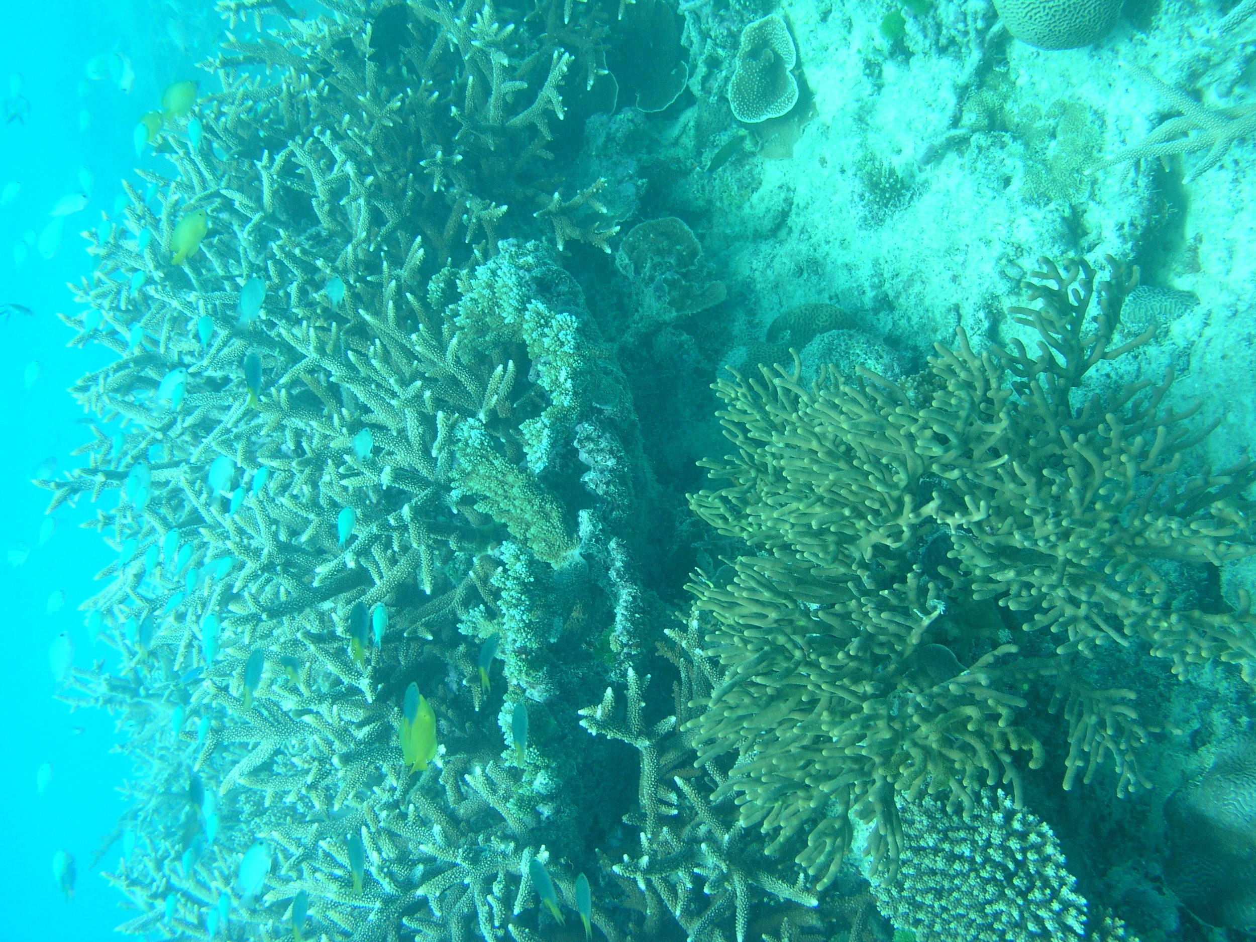 P1010035.JPG