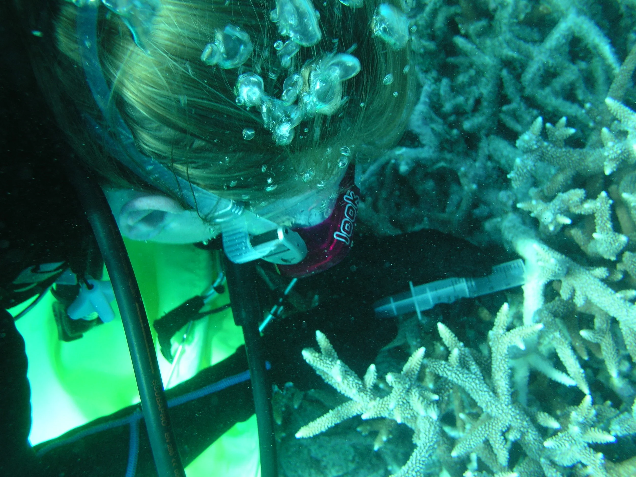 P1010038.JPG