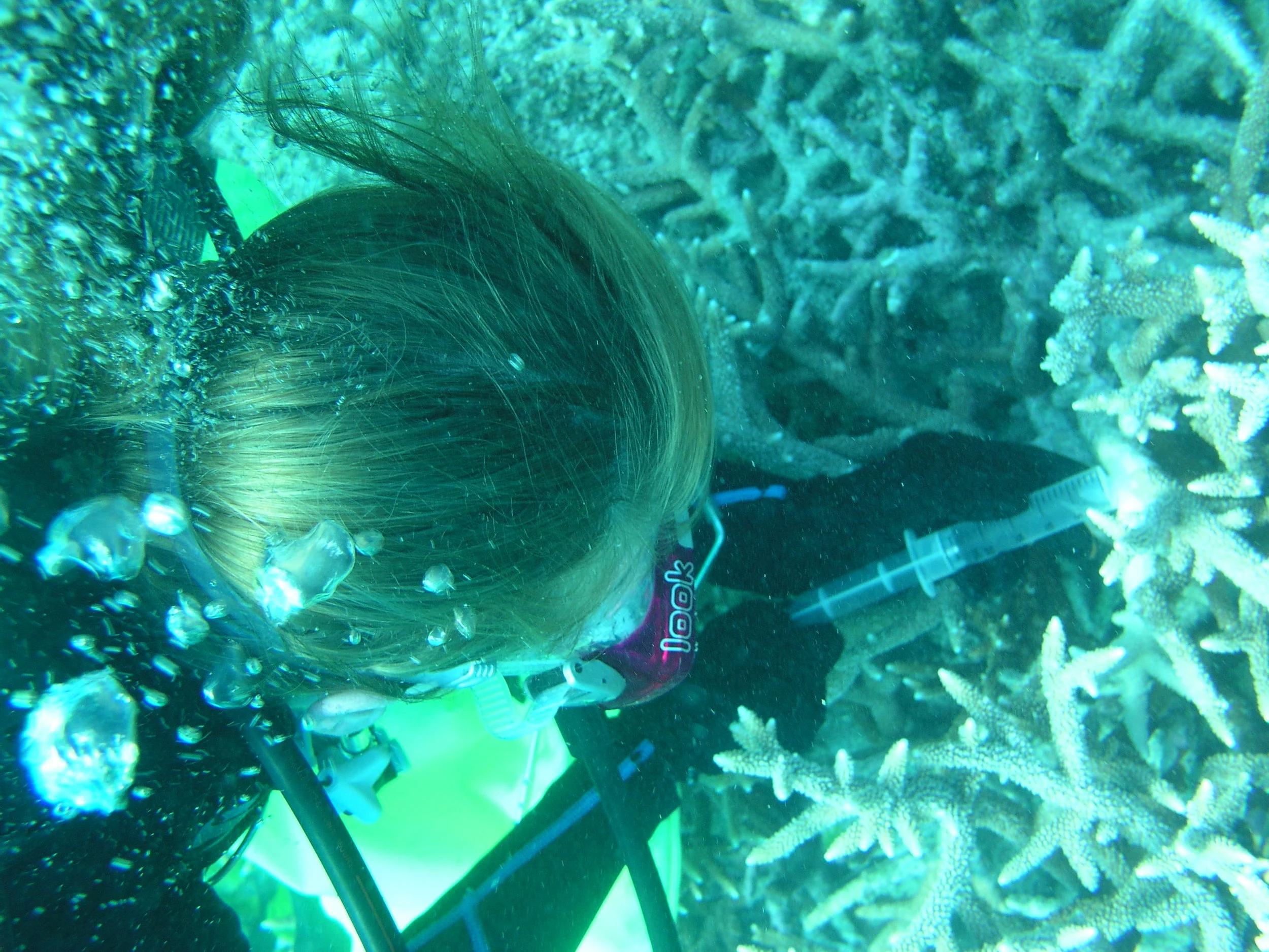 P1010039.JPG