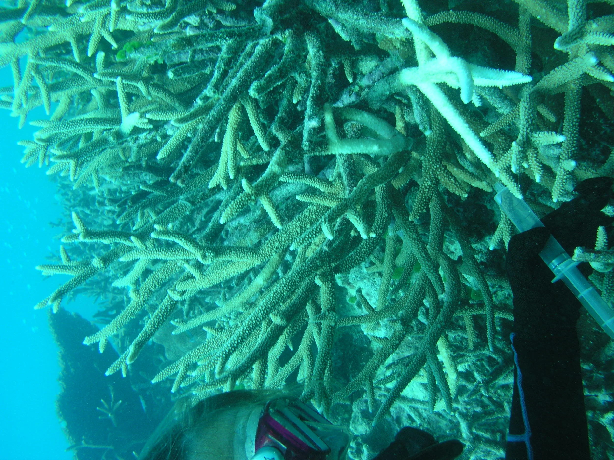 P1010044.JPG