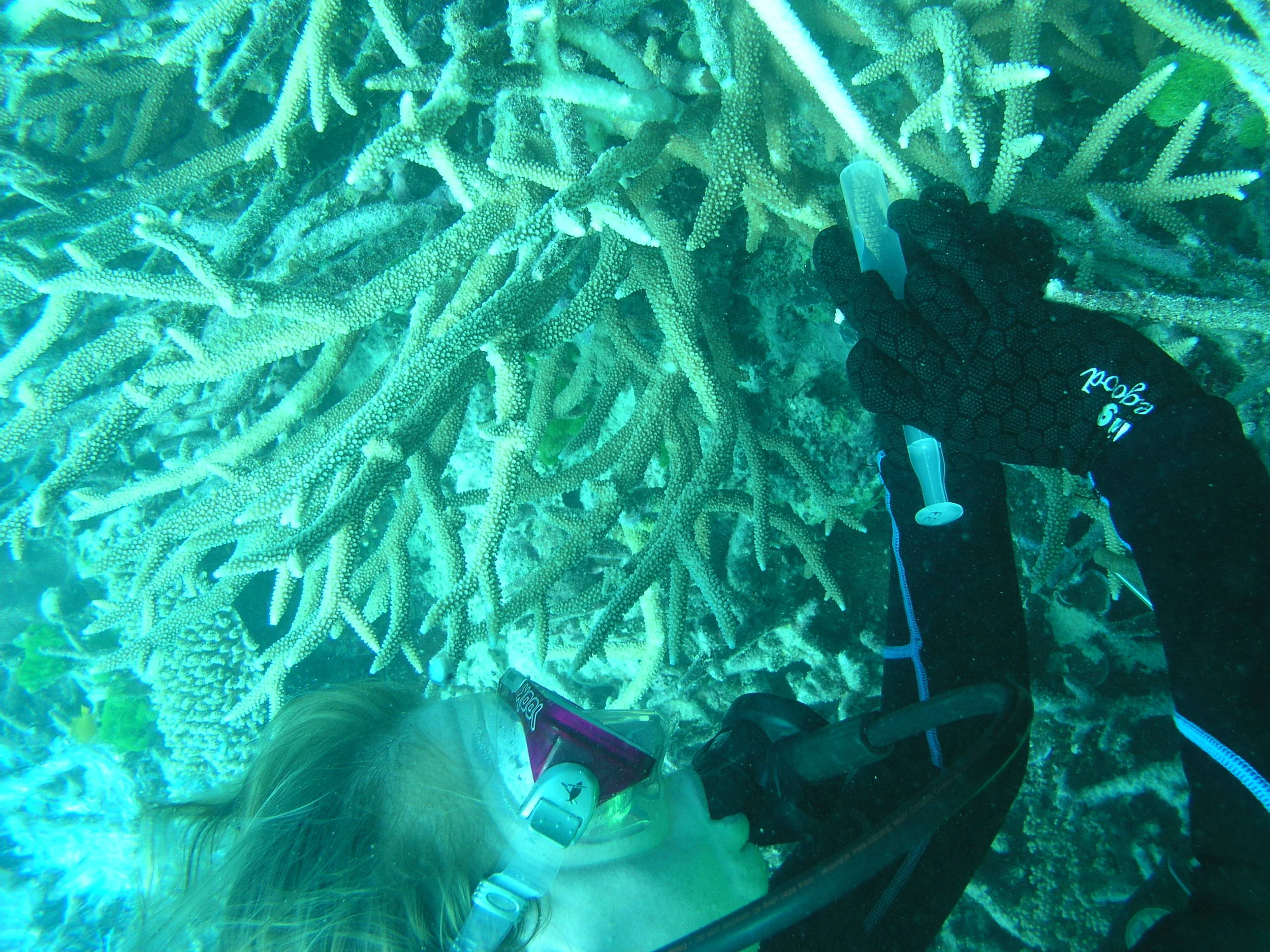 P1010045.JPG