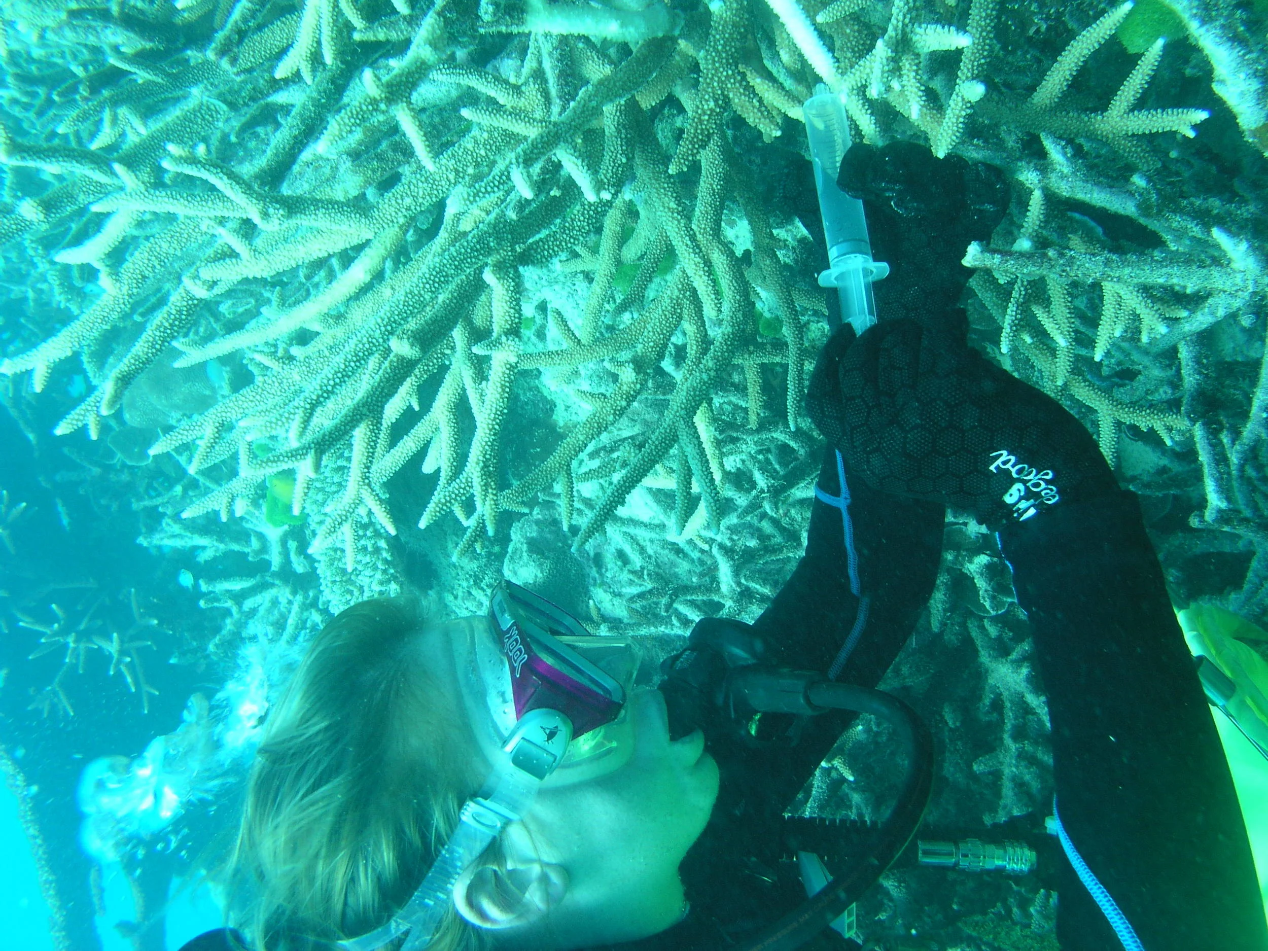 P1010046.JPG